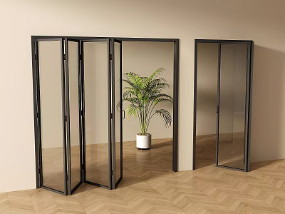 Modern Black Frame Glass Folding Doors Open And Closed With Green Plant In Light Room 3d model