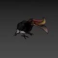 Colorful Hornbill Bird With Yellow Orange Beak And Black White Body On Dark Green Background
