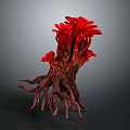 Vibrant Red Coral Like Plant with Thick Roots and Branching Structure