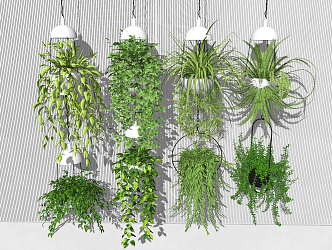 Modern hanging basket green plant hanging basket potted plant green dill ivy hanging plant 3d model