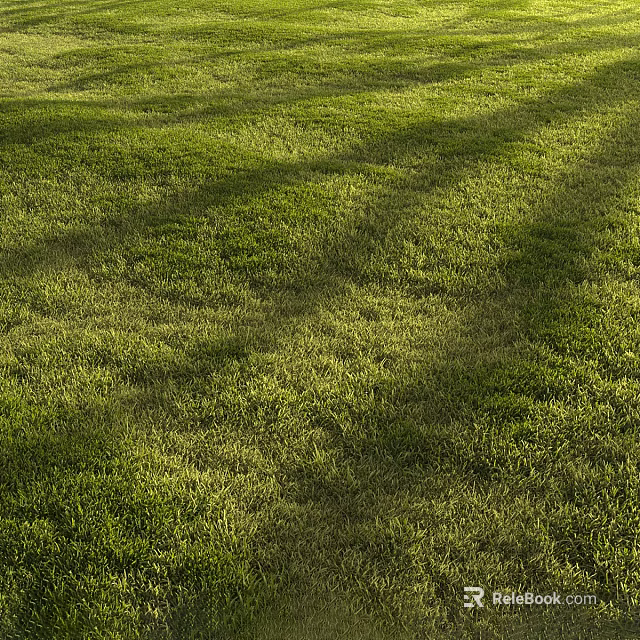 Vibrant Green Grass Field With Sunlight Casting Natural Shadow Patterns Outdoors 3d model