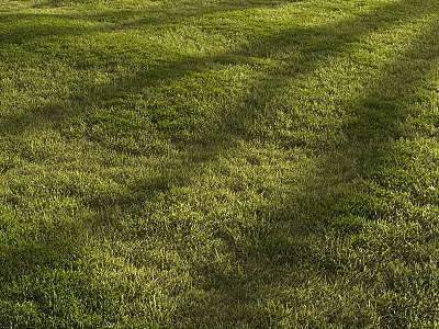 Vibrant Green Grass Field With Sunlight Casting Natural Shadow Patterns Outdoors 3d model