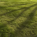 Vibrant Green Grass Field With Sunlight Casting Natural Shadow Patterns Outdoors 3d model