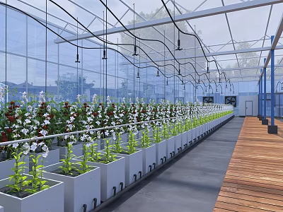 Indoor Greenhouse Plant Cultivation With Neatly Arranged Beds Wooden Walkway And Overhead Lighting 3d model