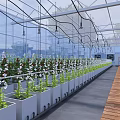 Indoor Greenhouse Plant Cultivation With Neatly Arranged Beds Wooden Walkway And Overhead Lighting