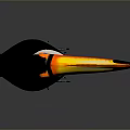 Studio Render of Toucan Bird with Vibrant Orange Beak Black Body and Blue Claws