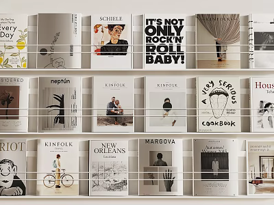 Stylish Collection of Books and Magazines with Various Cover Designs on White Shelves 3d model