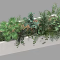 Modern White Rectangular Planter Box With Various Green Plants Different Leaf Types And Hanging Vines 3d model