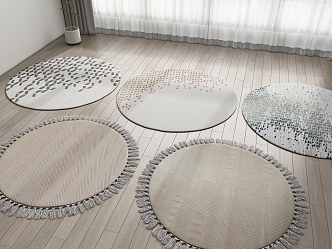 Modern Round Carpet 3d model