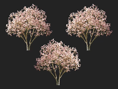 Three Beautiful Blooming Arbor Trees With Pink Flowers In Natural Garden 3d model