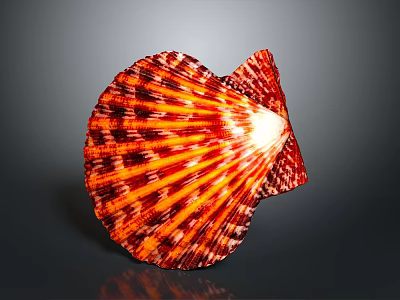 Detailed Red and Orange Striped Spotted Scallop Shell in Close Up View 3d model