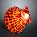 Detailed Red and Orange Striped Spotted Scallop Shell in Close Up View