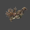 Natural Coral Reef Decor With Rocky Base And Mossy Surface Branches