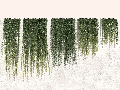 Multiple Trailing Green Vines As Hanging Indoor Wall Decoration With Lush Cascading Leaves 3d model