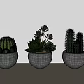 Three Succulent Cactus Plants In Gray Concrete Pots On Indoor Tabletop