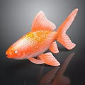 Vibrant Orange Goldfish With Shiny Scales Fan Shaped Fins And Graceful Tail 3d model