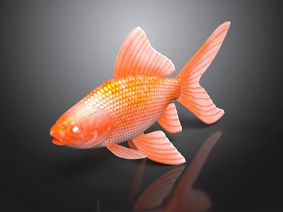 Vibrant Orange Goldfish With Shiny Scales Fan Shaped Fins And Graceful Tail 3d model Vibrant Orange Goldfish With Shiny Scales Fan Shaped Fins And Graceful Tail 3d model