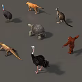 Animal Mammal Low Model Animal Low Face Number Animal Game Animal Simple Model Realistic Animal Camel Kangaroo Ostrich Turtle Lizard 3d model