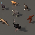 Animal Mammal Low Model Animal Low Face Number Animal Game Animal Animal Simple Model Realistic Animal Camel Kangaroo Ostrich Turtle Lizard 3d model