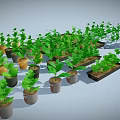 Lush Green Potted Plants With Healthy Leaves In Various Colored Pots And Planters