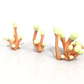 Coral Shaped Plants With Orange Stems And White Yellow Tips On White Background