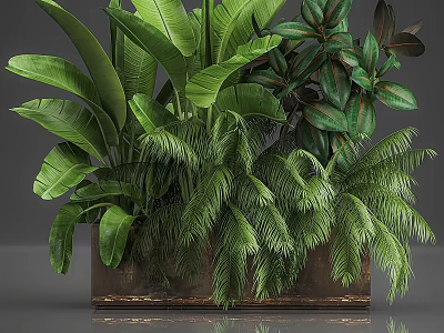 Different Types of Green Tropical Plants In Brown Planter With Lush Foliage 3d model