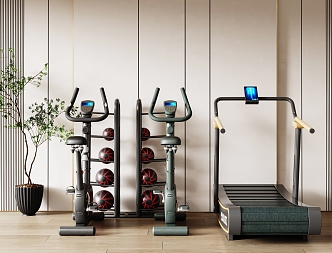 Modern Fitness Equipment 3d model