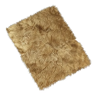 Square carpet 3d model