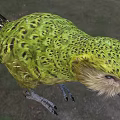 Green And Brown Feathered Flighted Parrot In Outdoor Nature Scene