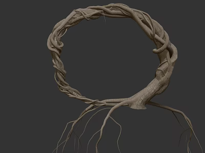 Twisted Natural Tree Roots Forming Circular Structure With Hanging Roots At Bottom 3d model