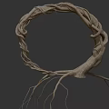 Twisted Natural Tree Roots Forming Circular Structure With Hanging Roots At Bottom