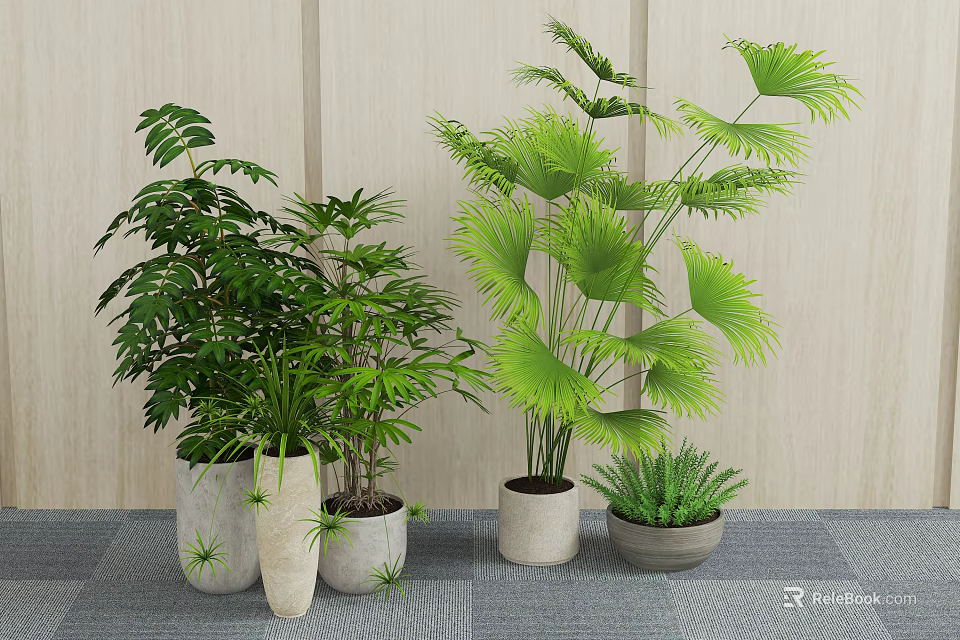 Lush Green Leafy Bonsai Potted Plants In Different Ceramic Pots Indoor 3d model 