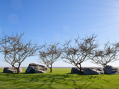 Natural Plant Combination with Leafless Trees Large Rocks and Green Grass Under Blue Sky 3d model