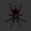 Realistic 3D Rendered Spider With Red Glowing Eyes And Long Legs
