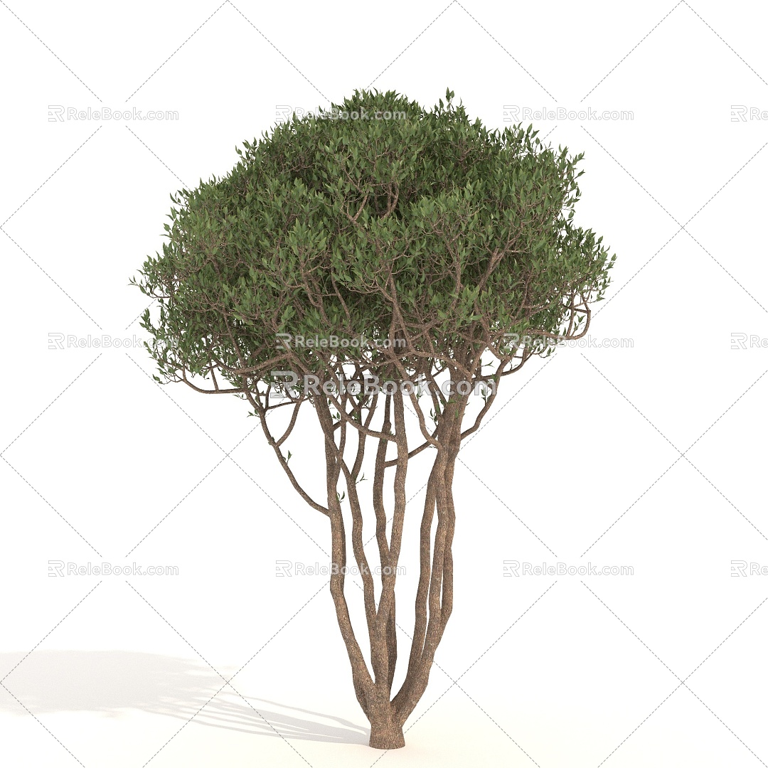 Trees Arbor Landscape Trees 3d model