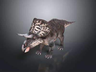 Realistic Triceratops Dinosaur 3D Model With Detailed Frill Horns And Textured Skin 3d model