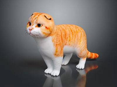 Cute Orange and White Scottish Fold Cat Standing on Dark Reflective Surface 3d model