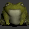 Realistic 3D Frog Model Featuring Green Yellow Body And Yellow Eyes On Black Background