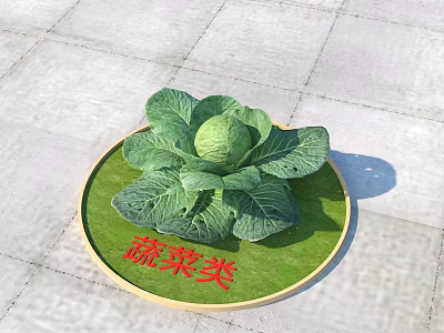 Healthy Fresh Organic Vegetables With Green Cabbage On Round Display Mat 3d model