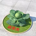 Healthy Fresh Organic Vegetables With Green Cabbage On Round Display Mat