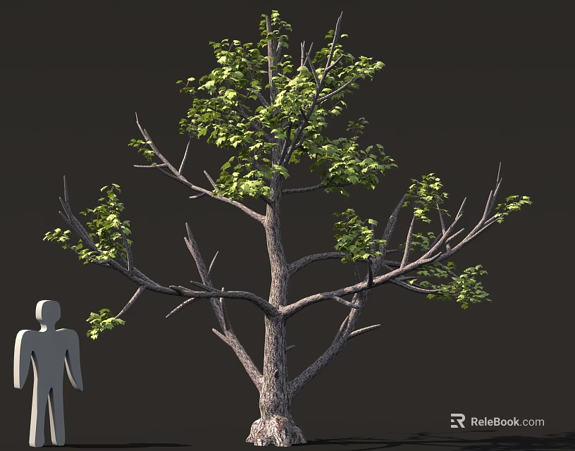 Tall Tree With Green Leaves And Brown Trunk Beside Gray Human Silhouette 3d model 