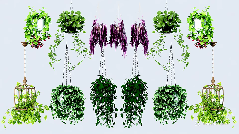 Various Hanging Basket Plants With Lush Green Leaves Trailing Vines And Purple Foliage 3d model 