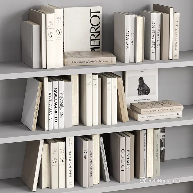 Organized Books And Magazines On Stylish Bookshelves With Various Designs And Neutral Tones 3d model 