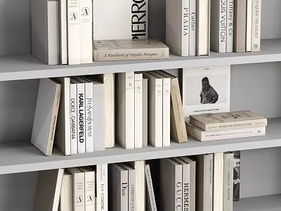 Organized Books And Magazines On Stylish Bookshelves With Various Designs And Neutral Tones 3d model