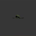 Yellow Canoe Water Vessel In Green Underwater Environment With Details