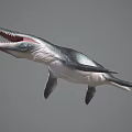 Realistic Aquatic Animal With Long Snout Sharp Teeth Large Fins And Streamlined Body Model