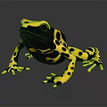 Yellow And Black Spotted Frog Character As 3D Model With Reflective Surface 3d model