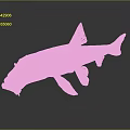 Detailed Fish Anatomy Featuring Eyes Mouth Fins And Textured Scales Structure