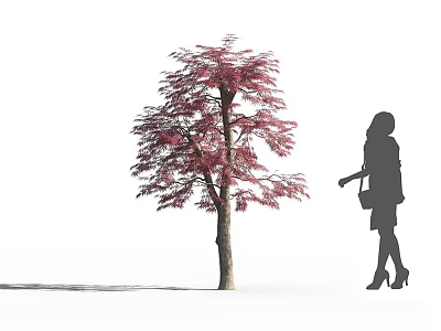 Red Leaf Tree with Woman Silhouette Wearing High Heels and Handbag Outdoor 3d model