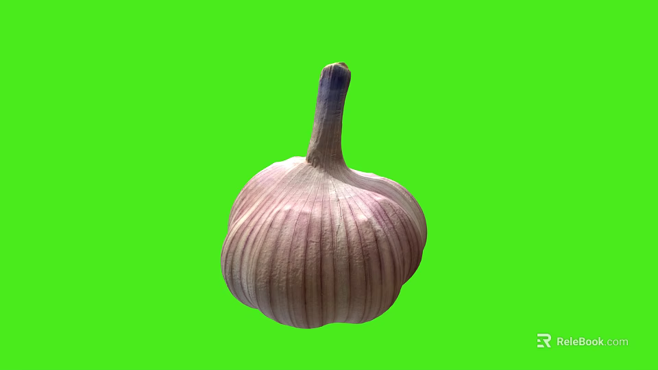 Fresh Whole Garlic Bulb With Purple Stripes On Bright Green Background 3d model 